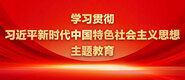 昊女骚穴学习贯彻习近平新时代中国特色社会主义思想主题教育_fororder_ad-371X160(2)